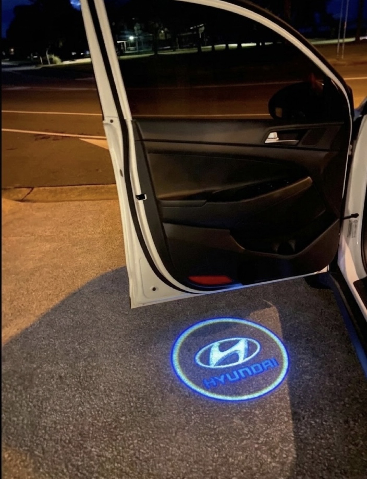 Hyundai Door Logo Lights